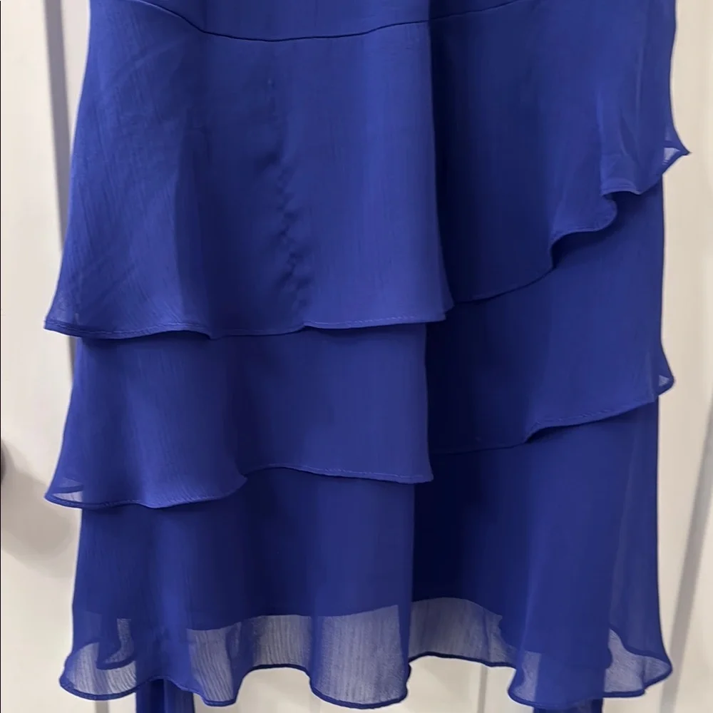 Express Blue Ruched Dress - Picture 6 of 6